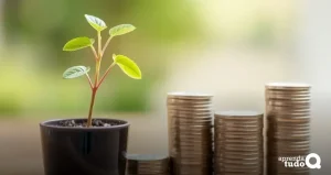 Investimentos pequenos que crescem rápido: 7 opções lucrativas