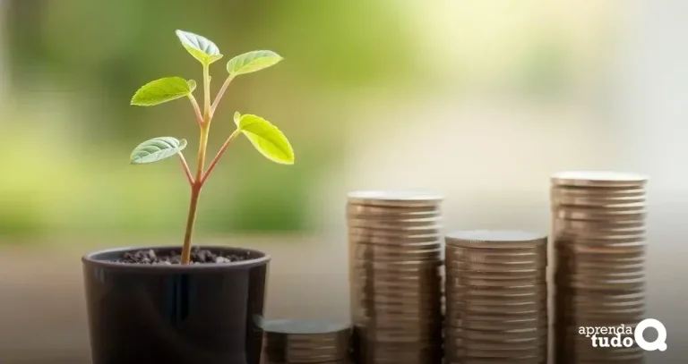 Investimentos pequenos que crescem rápido: 7 opções lucrativas