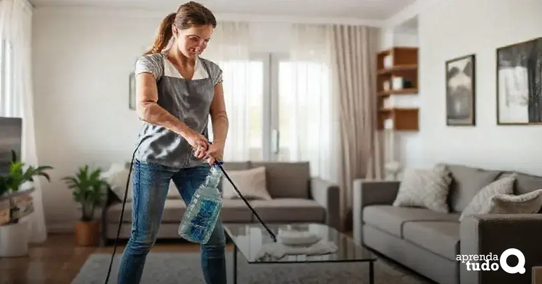 Dicas de limpeza rápida
