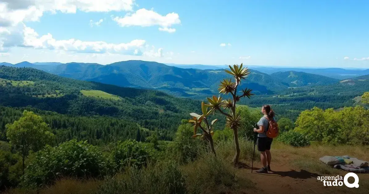 Eco-Friendly Adventure Trips