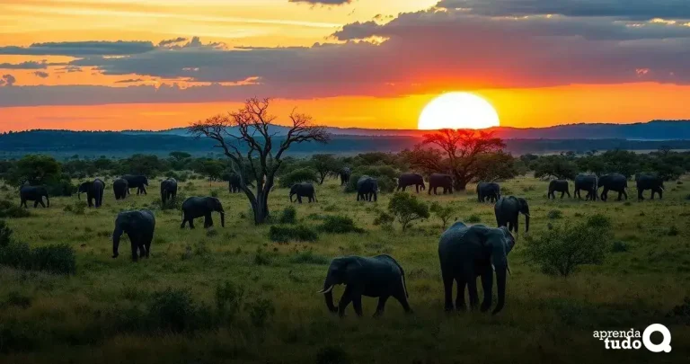 Best Safari Experiences: Unforgettable Adventures Await